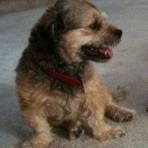 Meet your Posher, William